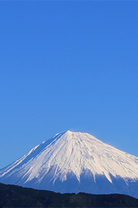 304