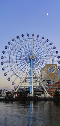 231