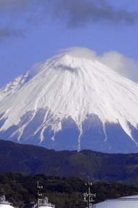 246